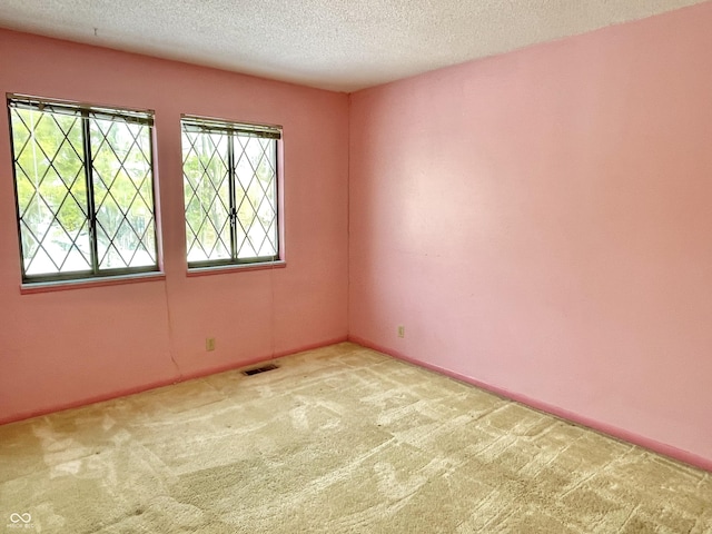 spare room with light colored carpet and a textured ceiling