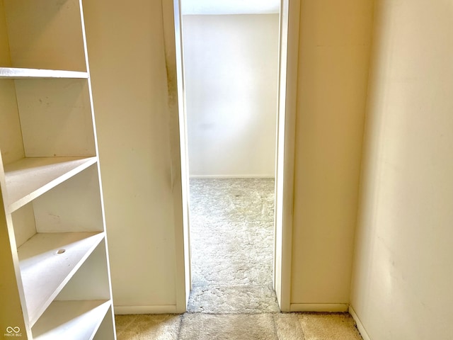 interior space with light colored carpet