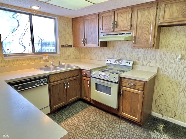 kitchen featuring dishwasher, electric range oven, and sink