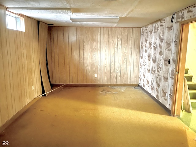 basement with wooden walls