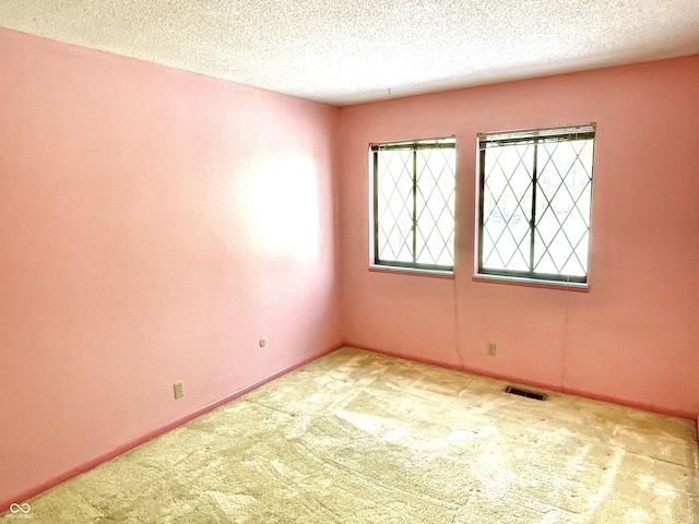 empty room featuring carpet floors and a textured ceiling