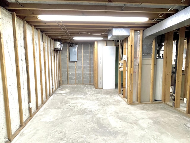 basement with electric panel