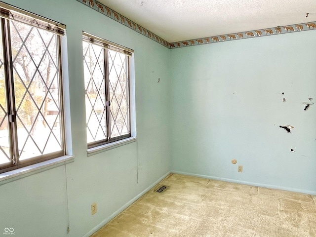 carpeted empty room with a healthy amount of sunlight and a textured ceiling