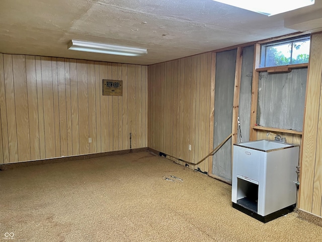 basement featuring sink, a textured ceiling, and wooden walls