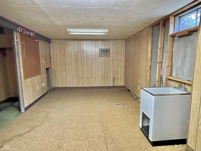 basement featuring light colored carpet and wood walls