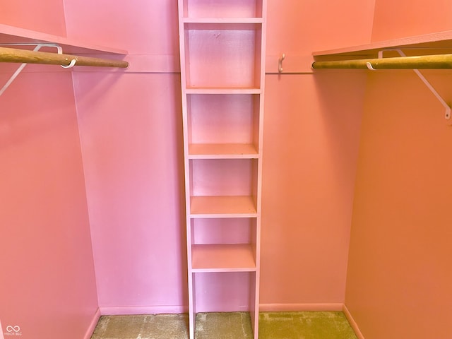 spacious closet with carpet