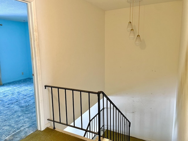 staircase featuring carpet floors