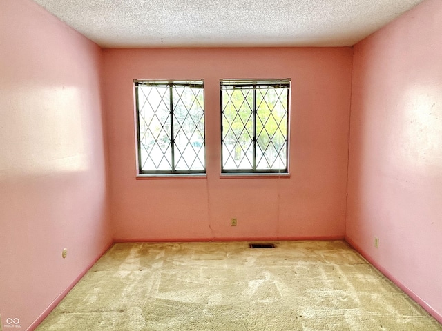 spare room with light colored carpet and a textured ceiling