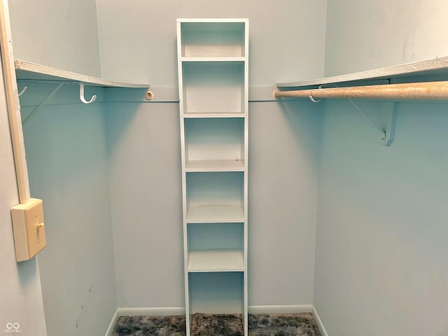 view of walk in closet