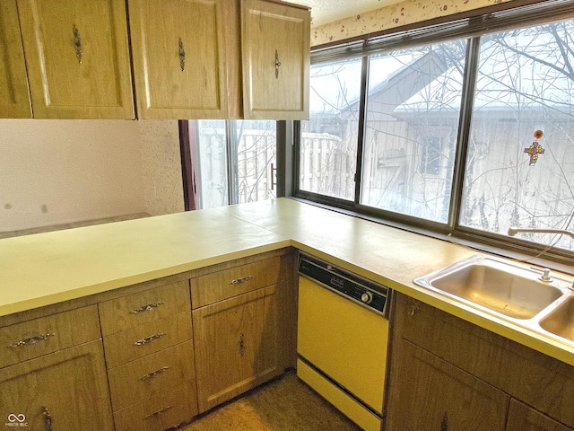 kitchen featuring dishwasher and sink