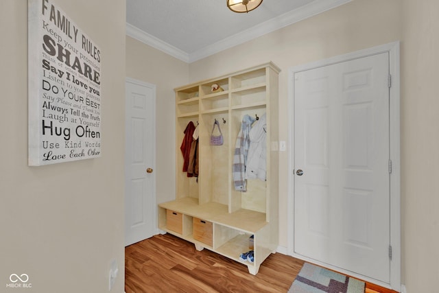 mudroom featuring ornamental molding and hardwood / wood-style floors