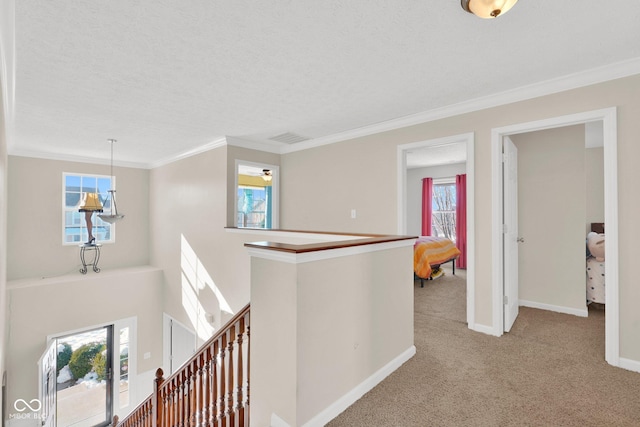 hallway with light carpet, crown molding, and a textured ceiling