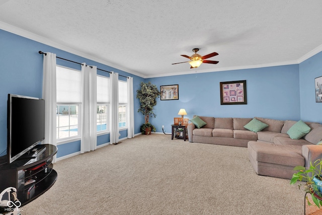 carpeted living room with ceiling fan, crown molding, and a textured ceiling