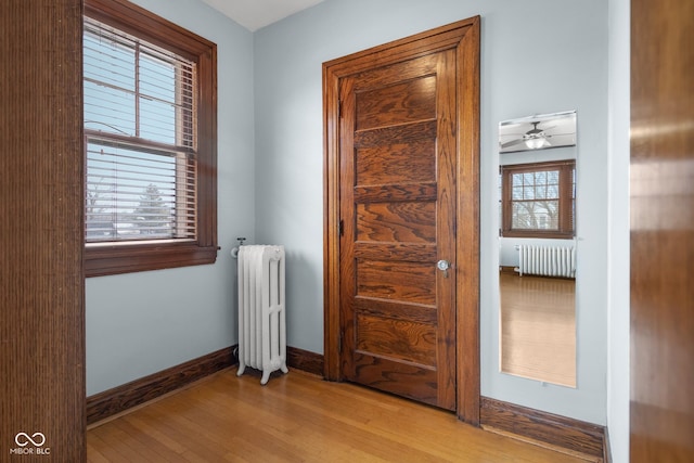 interior space featuring ceiling fan, radiator, and light wood-type flooring