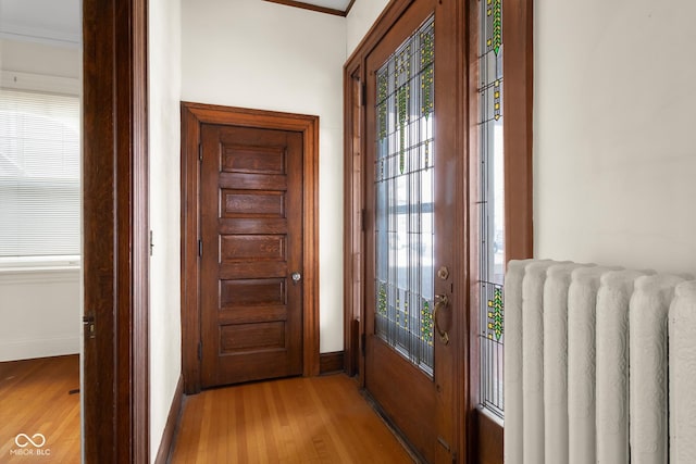 entryway featuring light hardwood / wood-style floors, radiator, and crown molding