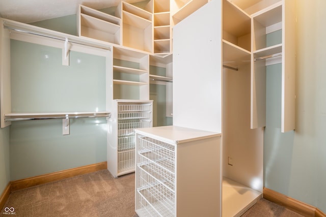 spacious closet featuring carpet flooring