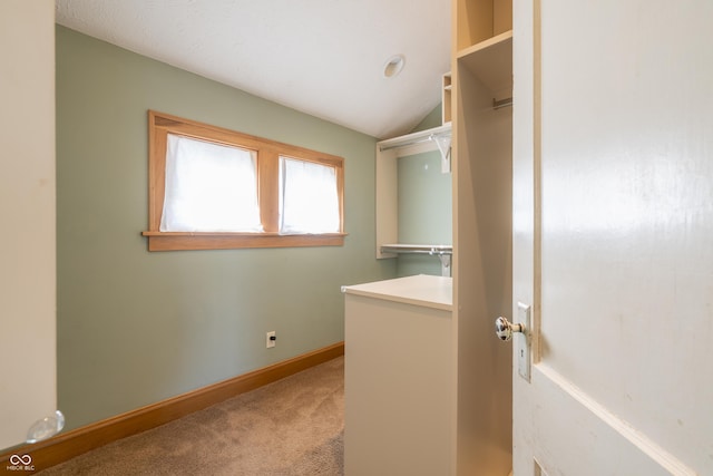 clothes washing area featuring carpet