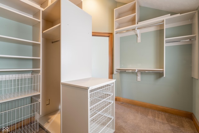 spacious closet with carpet