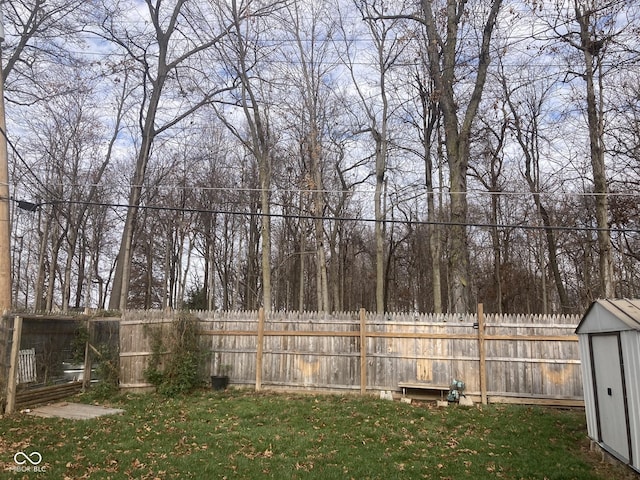 view of yard with a shed