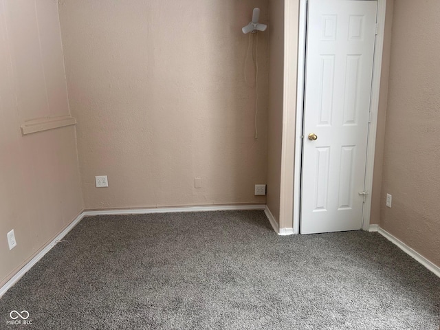 unfurnished room with carpet flooring