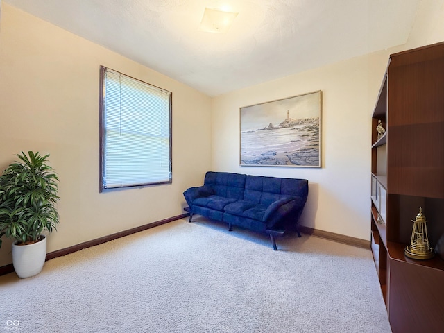 sitting room with carpet flooring