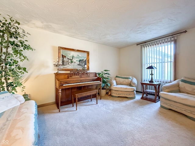 sitting room with carpet and a textured ceiling