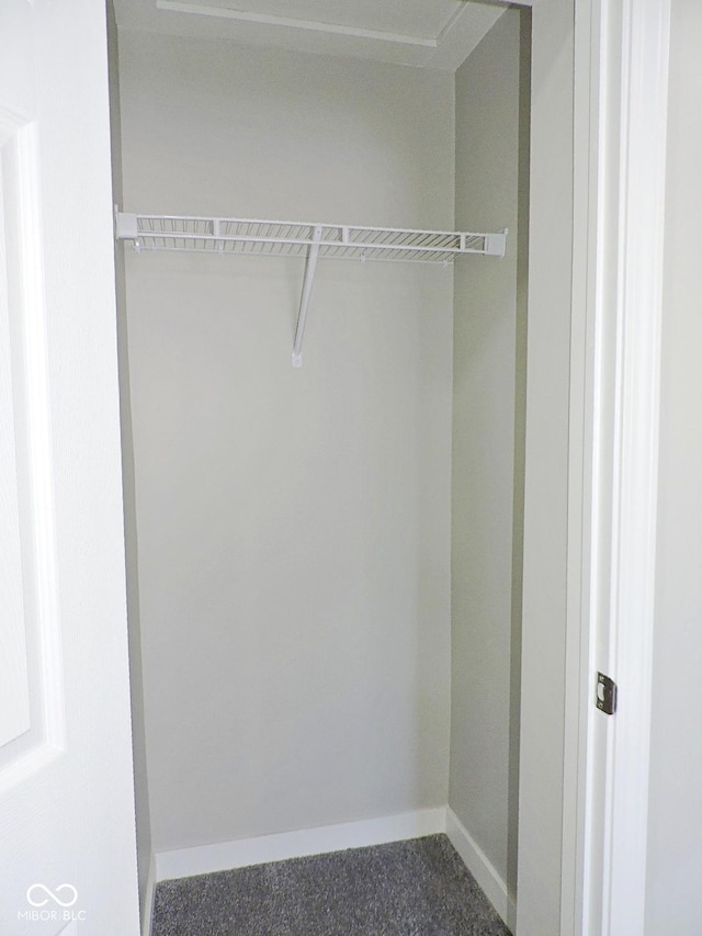 view of closet