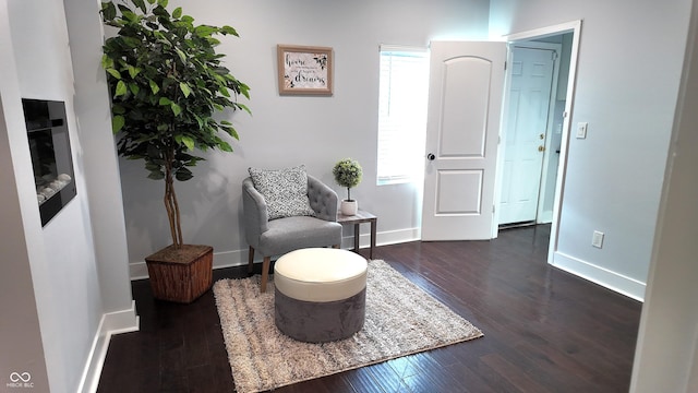 living area with dark wood-type flooring