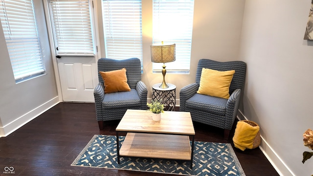 living area featuring dark hardwood / wood-style flooring