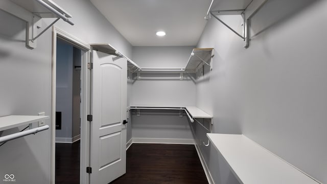 spacious closet with dark wood-type flooring