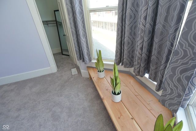 sitting room featuring carpet