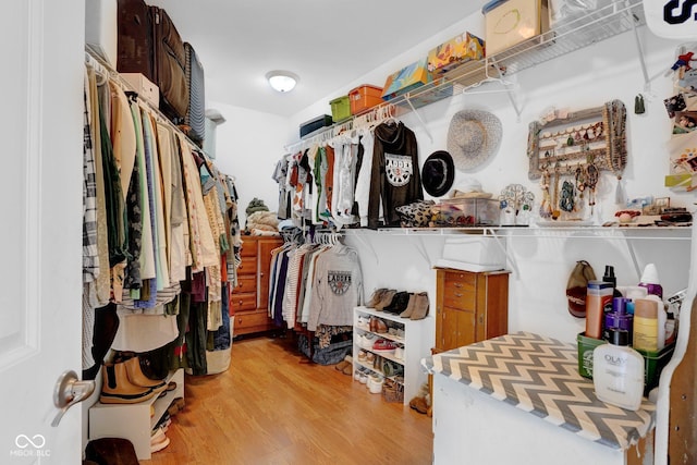 spacious closet with light hardwood / wood-style floors