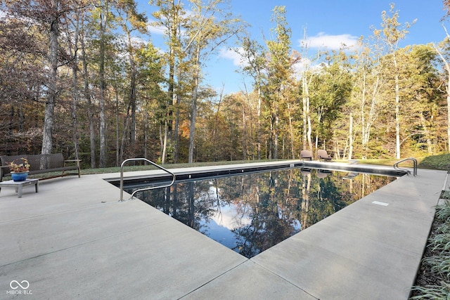 view of pool with a diving board