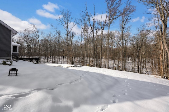 view of yard layered in snow