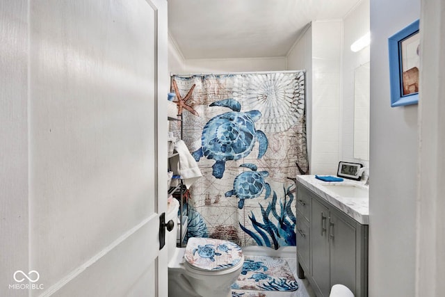 bathroom with toilet and vanity