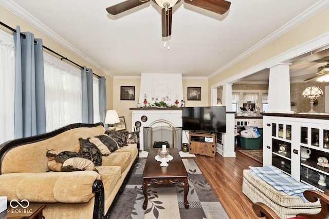 living room featuring hardwood / wood-style floors, crown molding, and a large fireplace