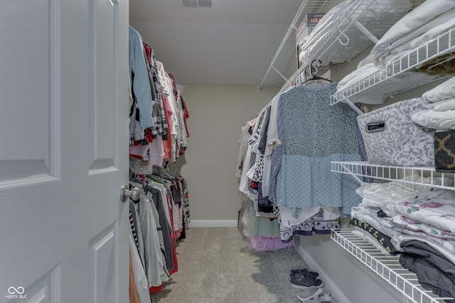 spacious closet with carpet