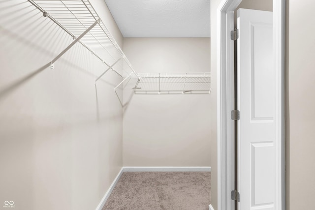 walk in closet with light carpet