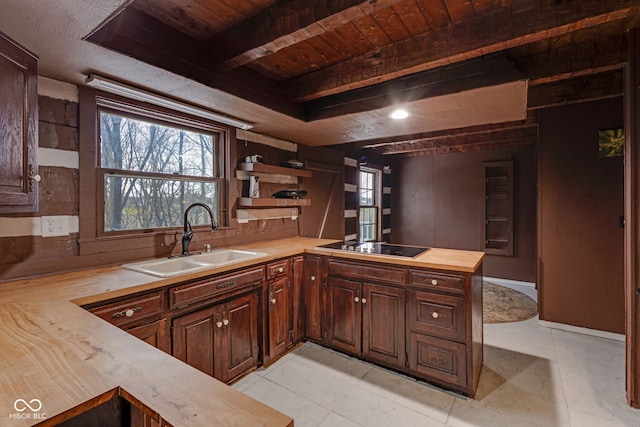 kitchen with dark brown cabinets, sink, butcher block countertops, and kitchen peninsula