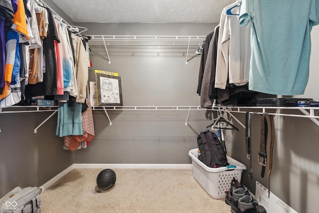 spacious closet featuring carpet