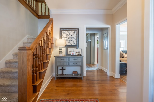 hallway featuring crown molding and dark wood-type flooring