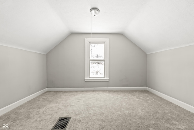 additional living space featuring vaulted ceiling, carpet floors, and a textured ceiling