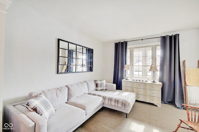 view of carpeted living room