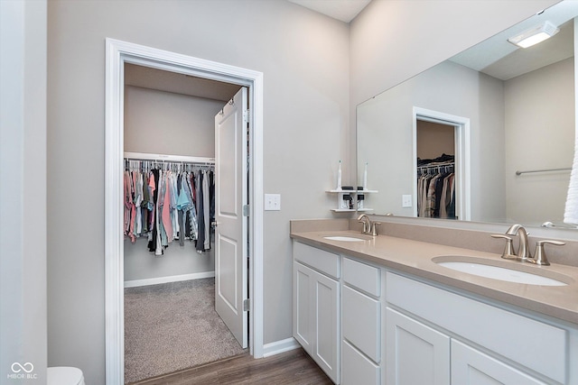 bathroom featuring wood-type flooring and vanity