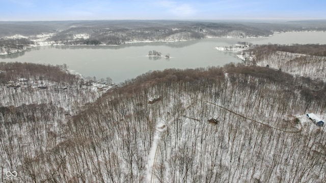 snowy aerial view with a water view