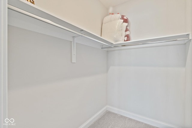 spacious closet with carpet