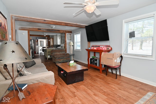 living room with ceiling fan, a wealth of natural light, and hardwood / wood-style floors