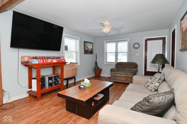 living room with ceiling fan and hardwood / wood-style floors