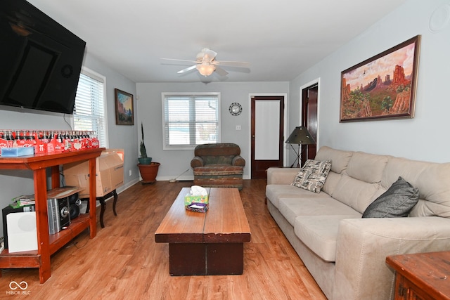 living room with ceiling fan and light wood-type flooring