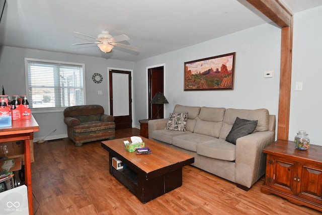 living room with ceiling fan and hardwood / wood-style floors